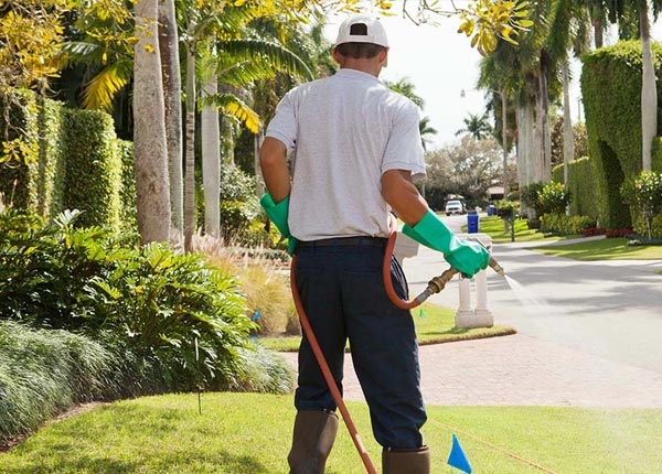 About Philadelphia NY Pest Control